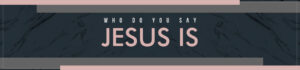 WhoDoYouSayJesusIs 07022024